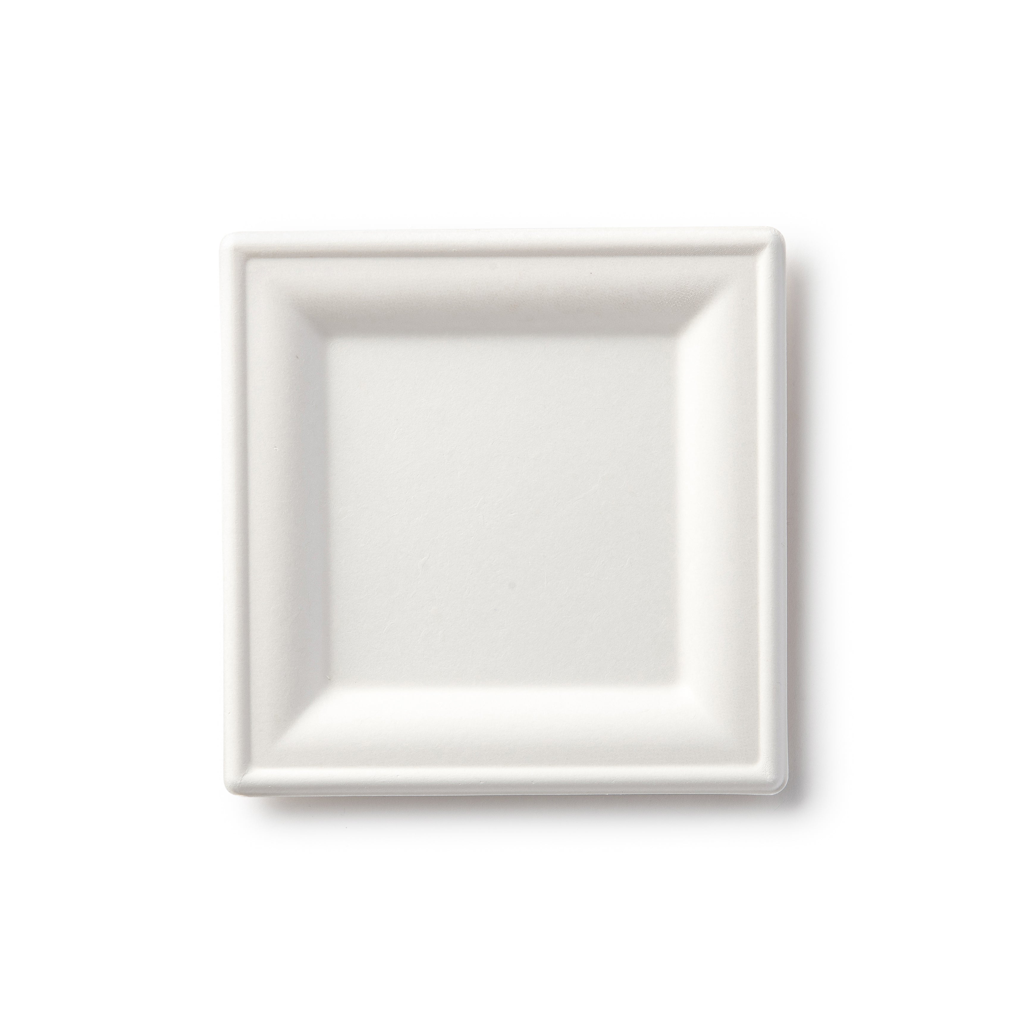 100% Compostable Paper Plates Square Natural Disposable Sugar Cane Bagasse Plate - Green Leaf