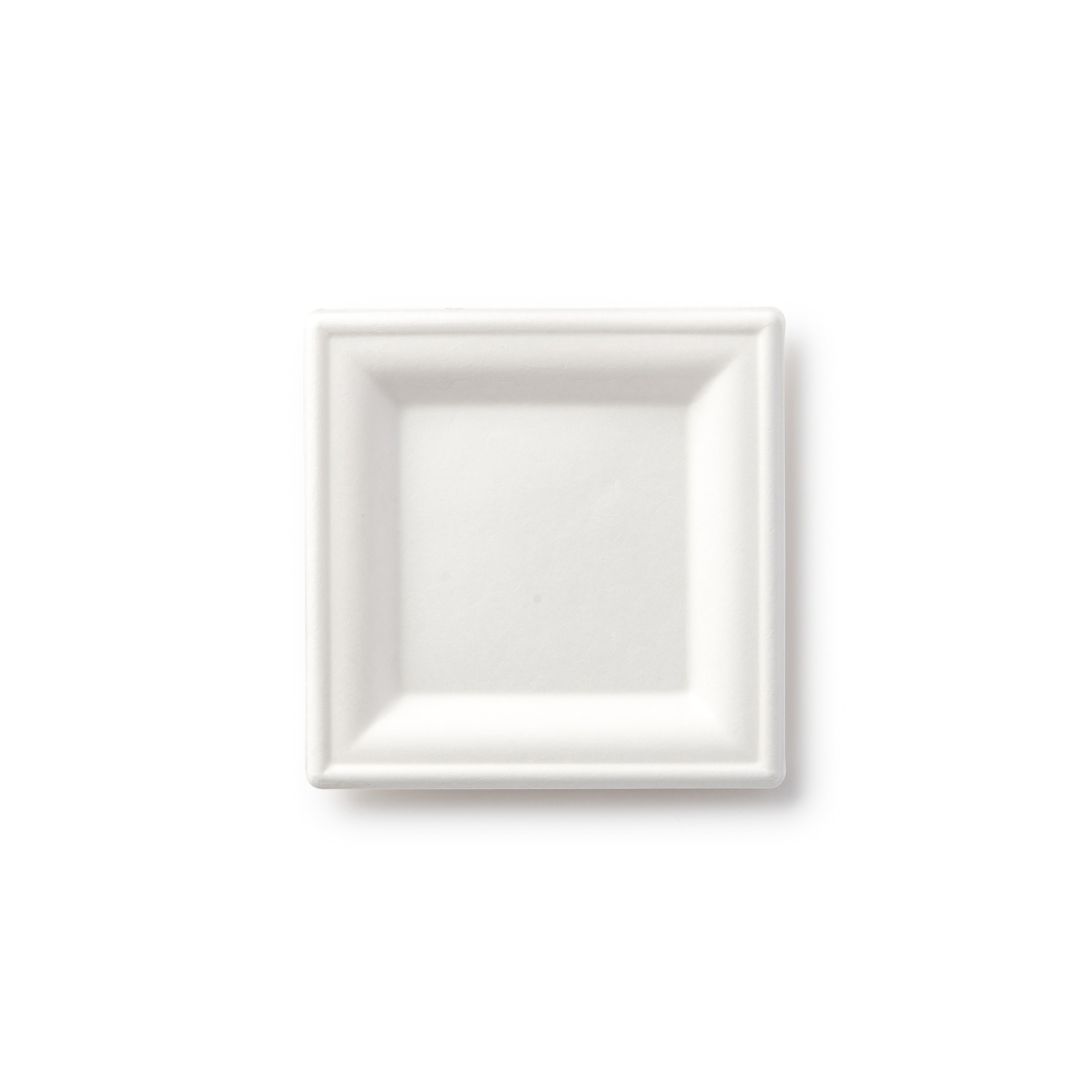 100% Compostable Paper Plates Square Natural Disposable Sugar Cane Bagasse Plate - Green Leaf