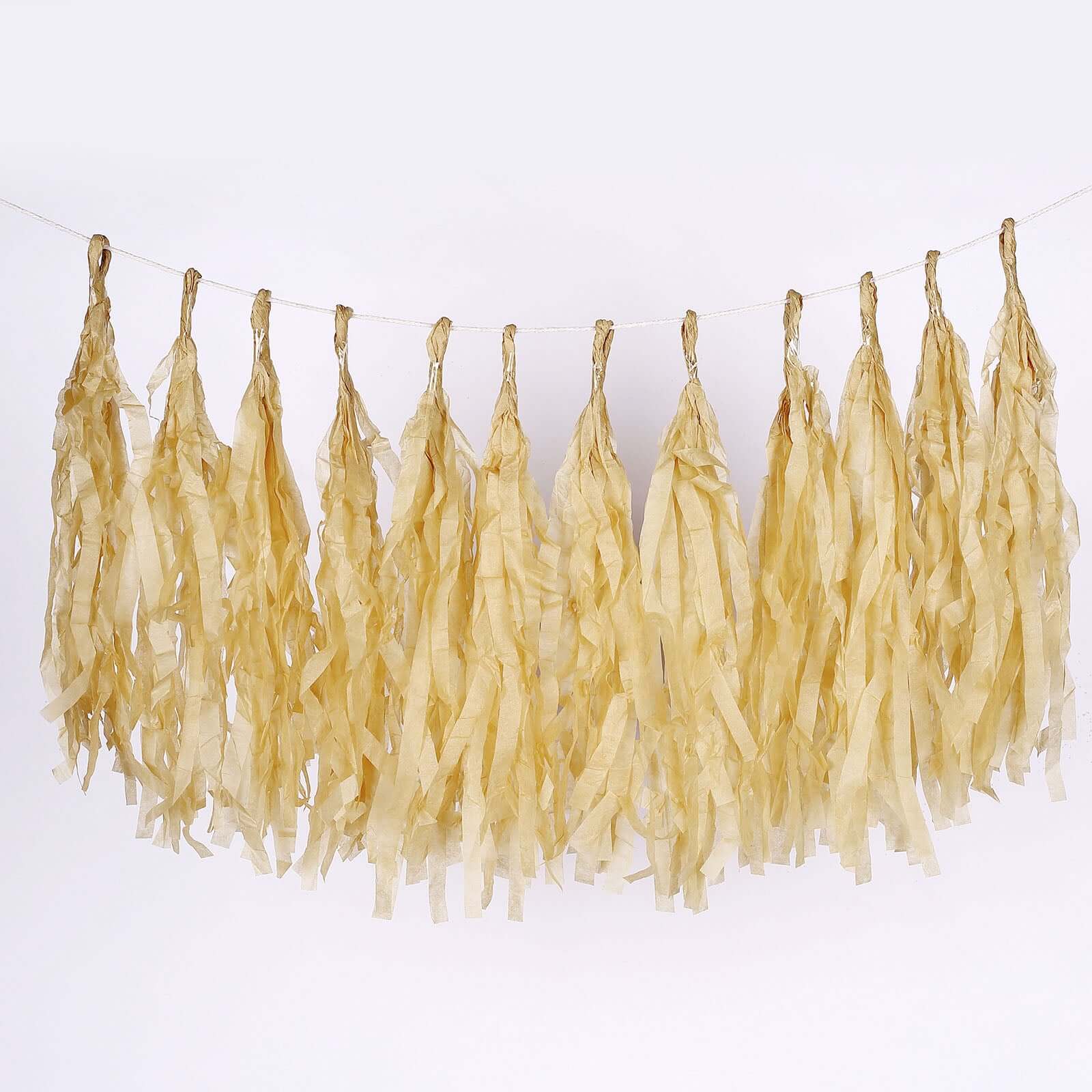 12 Pack Pre-Tied Champagne Paper Fringe Tassels With Garland String, Hanging Streamer Banner Decorations HIER_9900