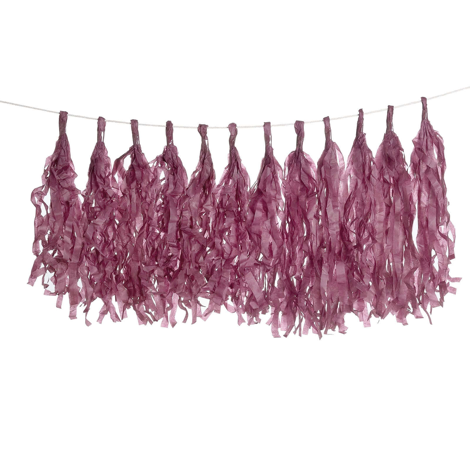 12 Pack Pre-Tied Eggplant Tissue Paper Tassel Garland With String, Hanging Fringe Party Streamer Backdrop Decor Decorations HIER_9900