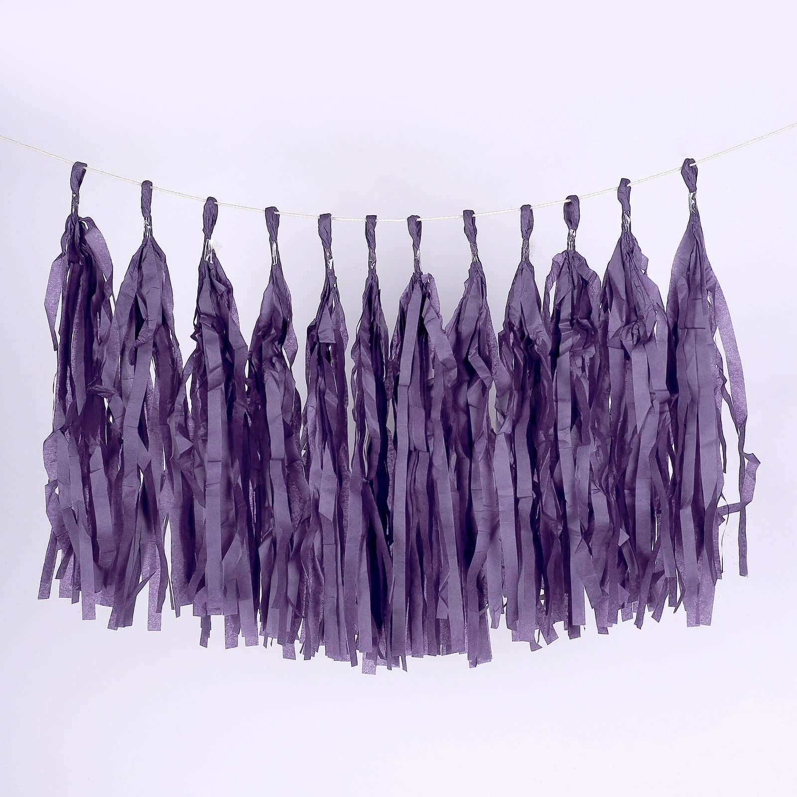 12 Pack Pre-Tied Purple Tissue Paper Tassel Garland With String, Hanging Fringe Party Streamer Backdrop Decor Decorations HIER_9900