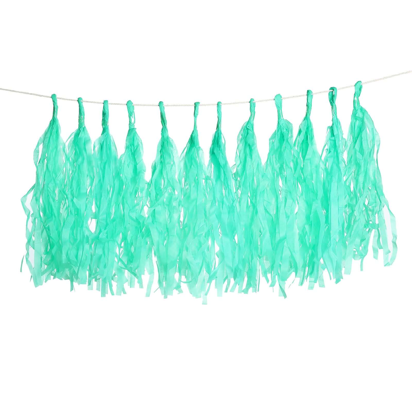 12 Pack Pre-Tied Teal Tissue Paper Tassel Garland With String, Hanging Fringe Party Streamer Backdrop Decor Decorations HIER_9900