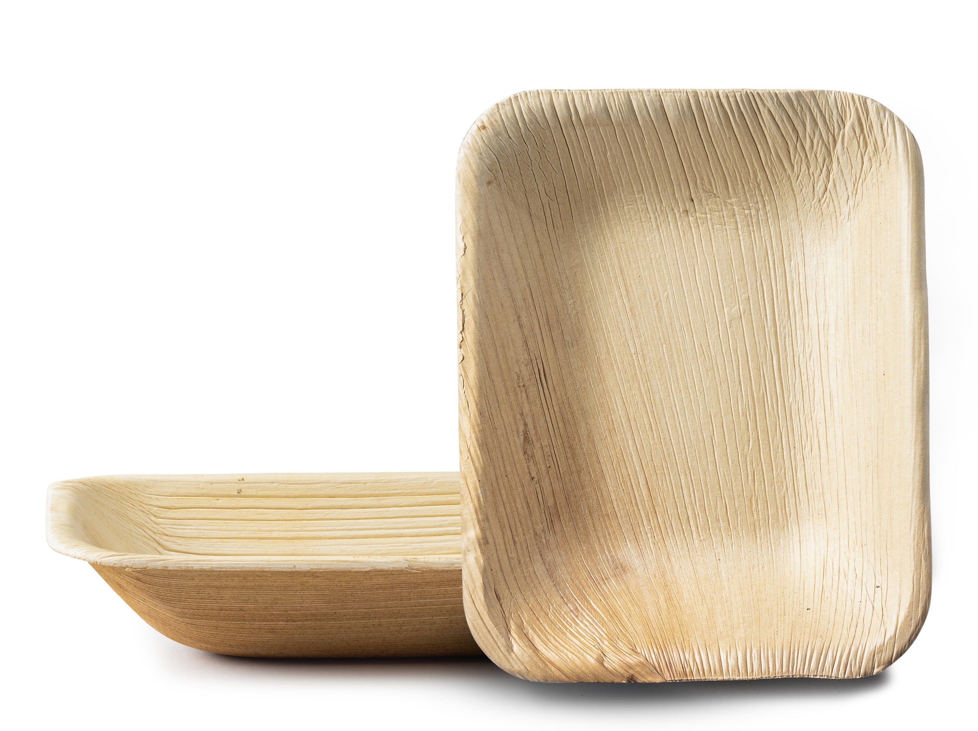 100% Natural Disposable Palm Leaf Bamboo-Style Compostable Rectangle Plates 10 Pack - Palm Leaf