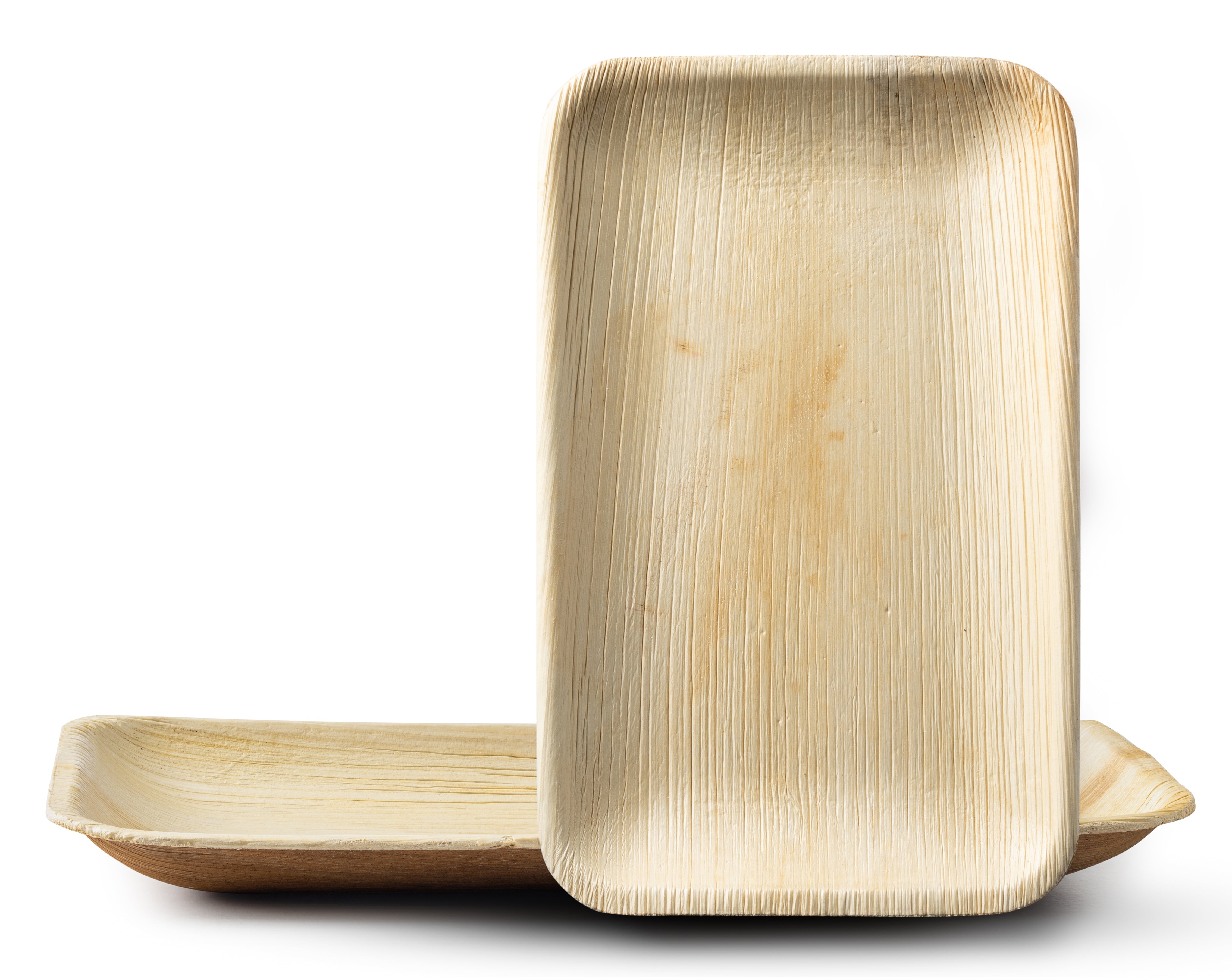 100% Natural Disposable Palm Leaf Bamboo-Style Compostable Rectangle Plates 10 Pack - Palm Leaf
