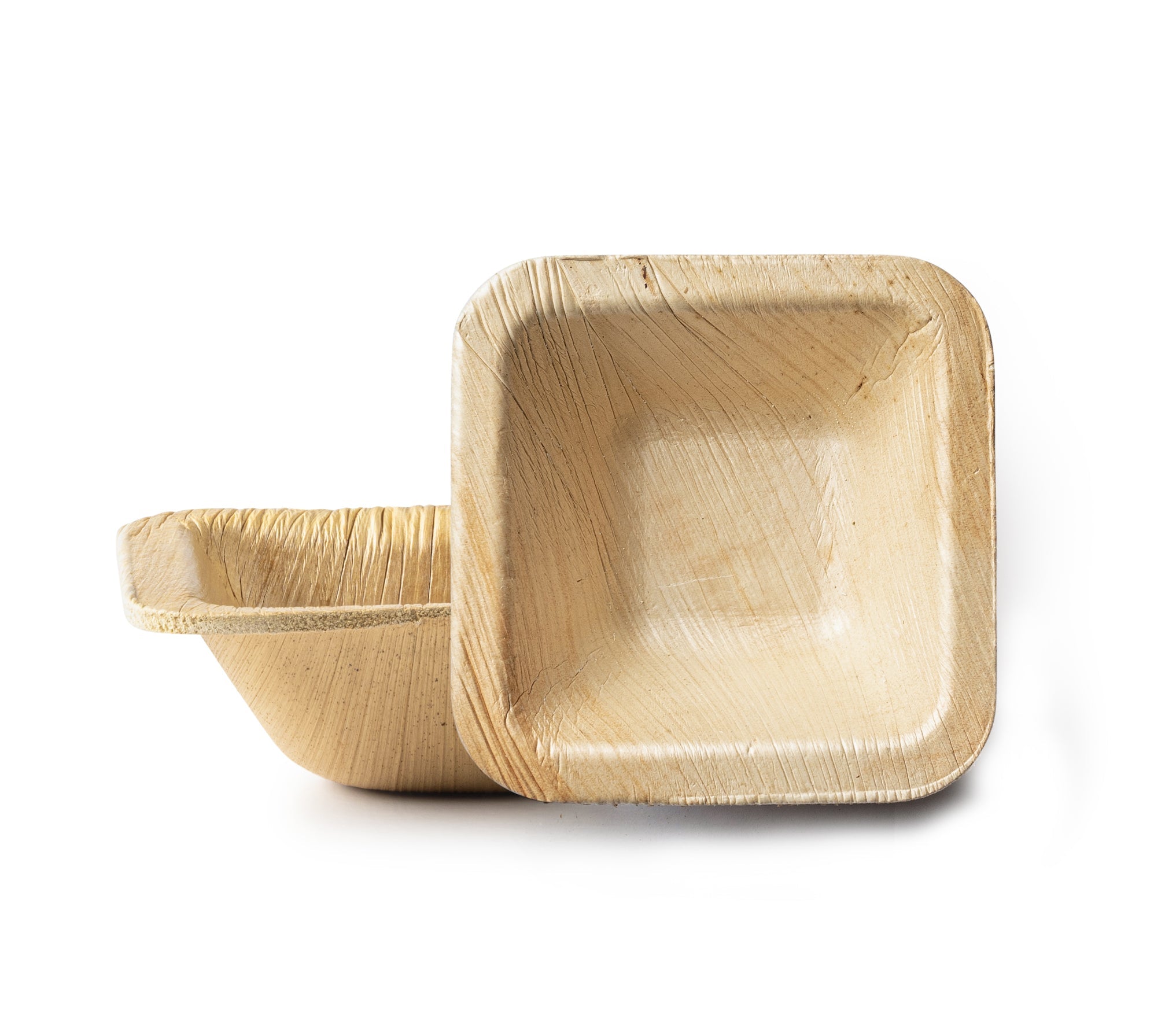 100% Natural Disposable Palm Leaf Bamboo-Style Compostable Rectangle Plates 10 Pack - Palm Leaf