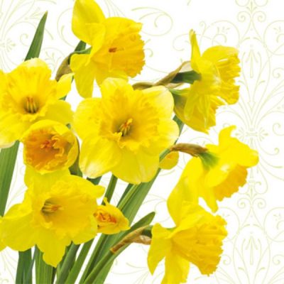 Yellow Daffodils Floral Lunch Napkin - 20 Pack