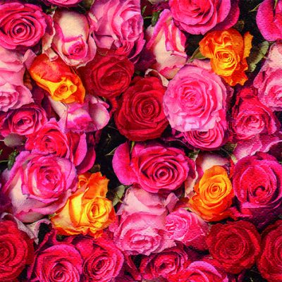 Rosas Coloridas Floral Lunch Napkin - 20 Pack