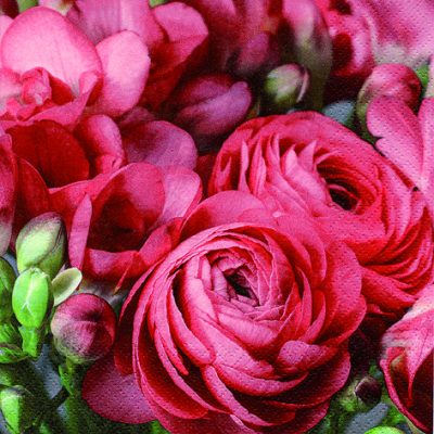Freesia & Persian Buttercup Red Floral Lunch Napkin - 20 Pack