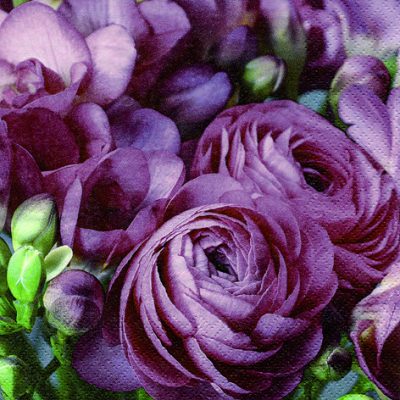 Freesia & Persian Buttercup Burgundy Floral Lunch Napkin - 20 Pack