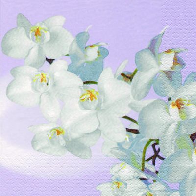 Orchidea Blanca Vintage Lavender Aqua Floral Lunch Napkin - 20 Pack
