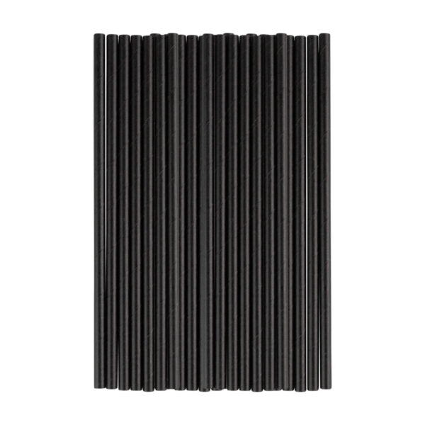 Black Paper Straws 24 Pack