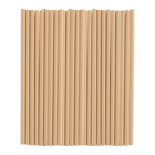 Light Brown Paper Straws 24 Pack