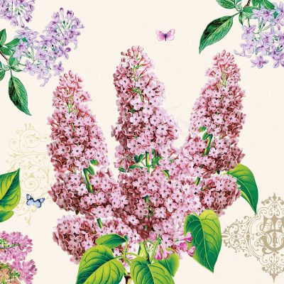 Syringa Floral Lunch Napkin - 20 Pack