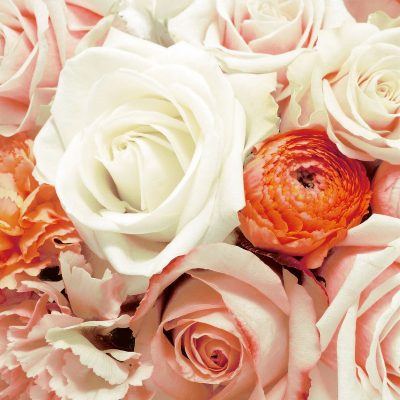 Anabel Floral Lunch Napkin - 20 Pack