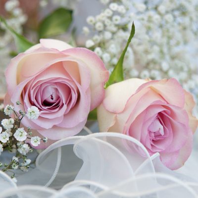 Ambiance Romantique Floral Lunch Napkin - 20 Pack