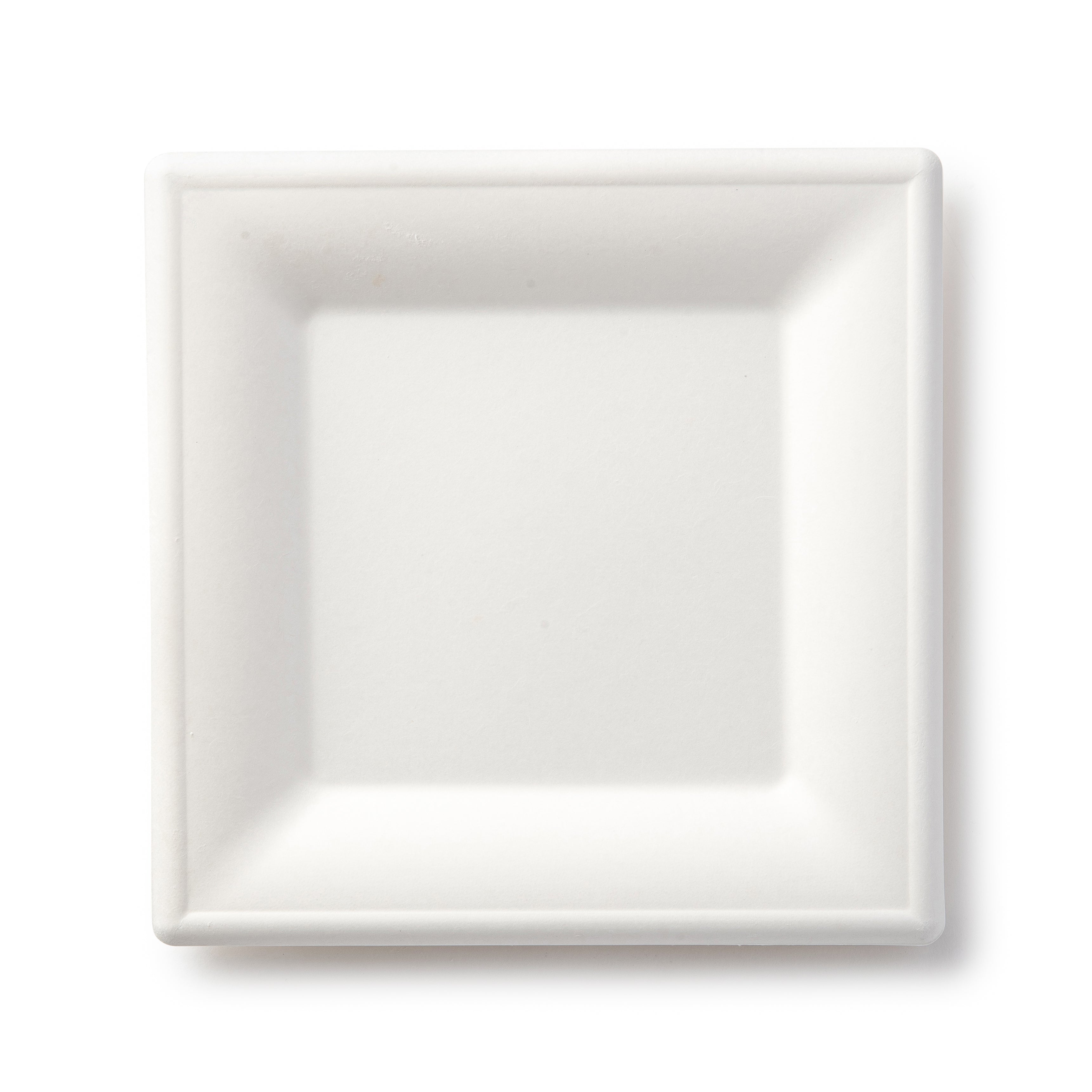 100% Compostable Paper Plates Square Natural Disposable Sugar Cane Bagasse Plate - Green Leaf