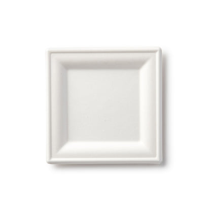 100% Compostable Paper Plates Square Natural Disposable Sugar Cane Bagasse Plate - Green Leaf