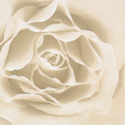 Rose Gold Floral Lunch Napkin - 20 Pack