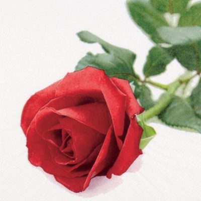 Rose Nobile Floral Lunch Napkin - 20 Pack