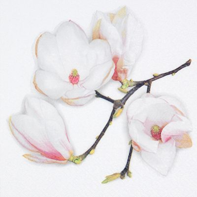 White Magnolia Floral Lunch Napkin - 20 Pack