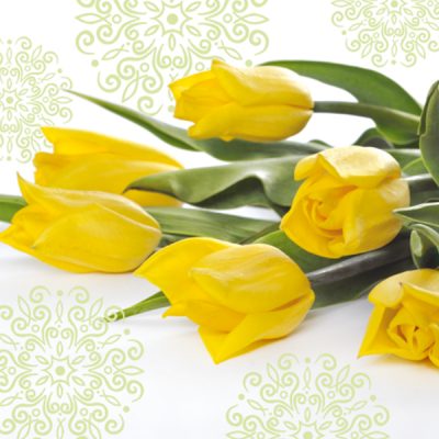 Yellow Tulips Floral Lunch Napkin - 20 Pack